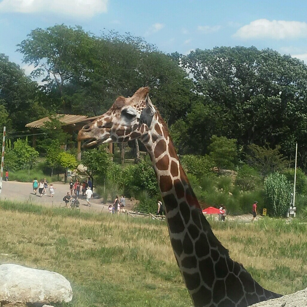 Meet your Posher, C j